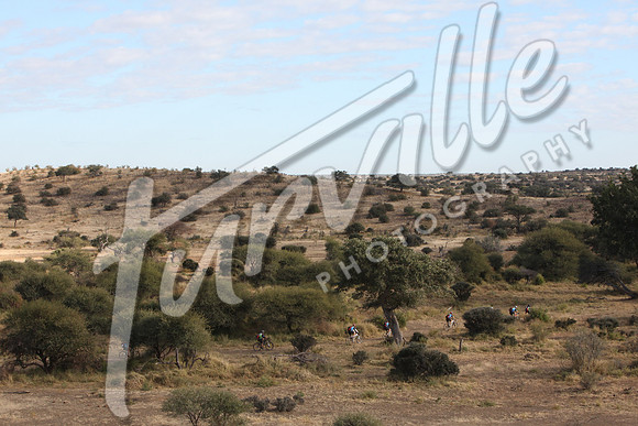 TdT2010-SL_0410