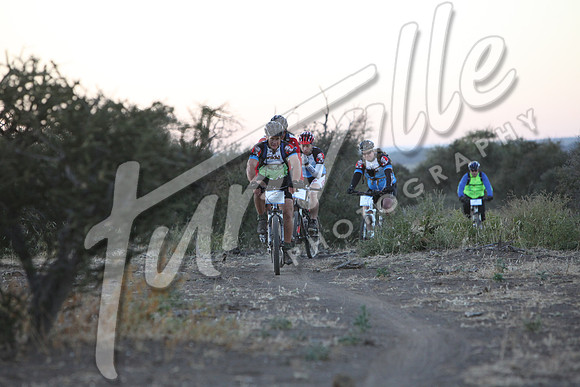 TdT2010-SL_0219