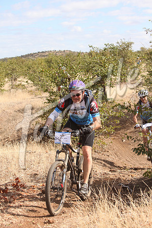 TdT2010-SL_0493