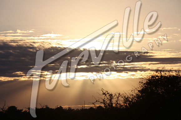TdT2010-SL_0274
