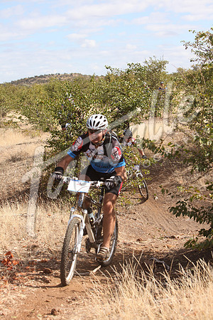 TdT2010-SL_0491