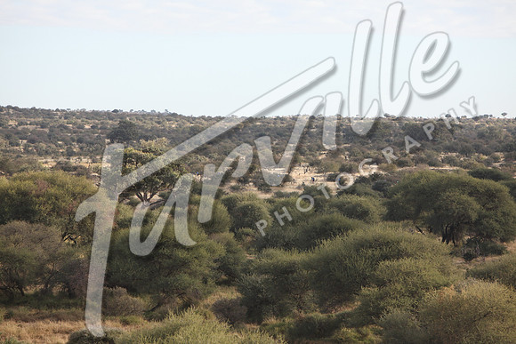 TdT2010-SL_0405