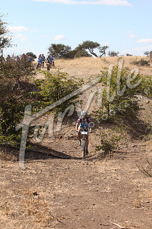 TdT2010-SL_0513