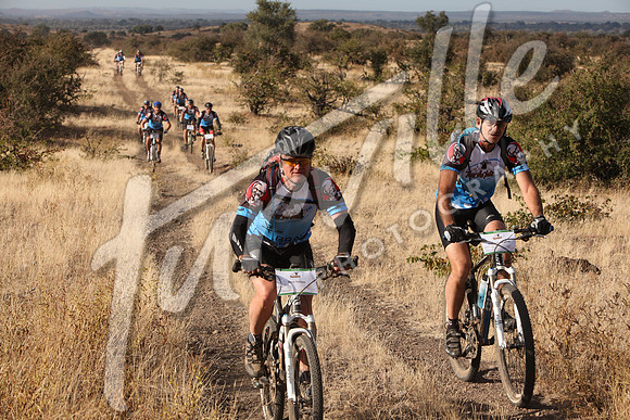 TdT2010-SL_0415