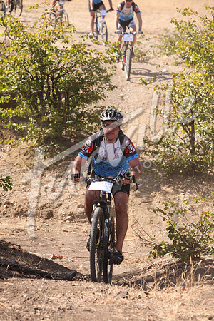 TdT2010-SL_0517