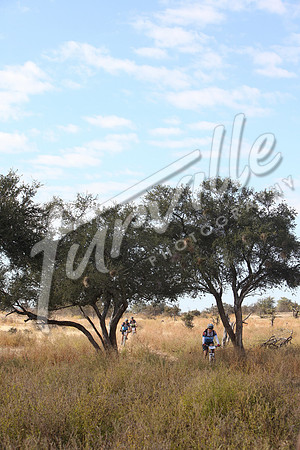 TdT2010-SL_0451