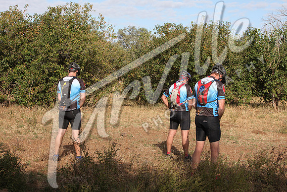 TdT2010-SL_0447
