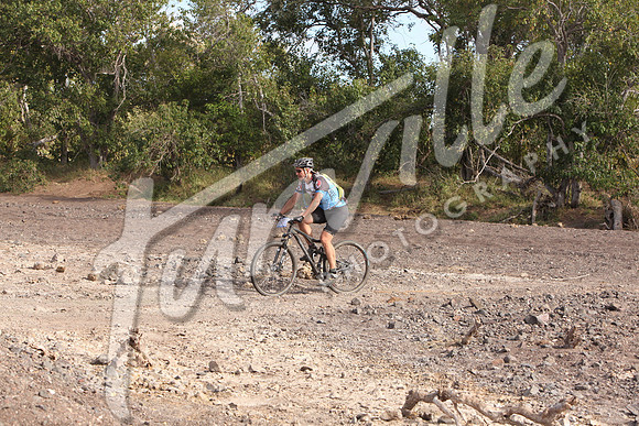 TdT2010-SL_0464