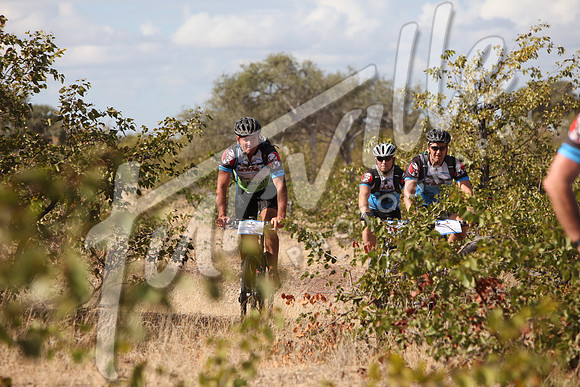 TdT2010-SL_0487