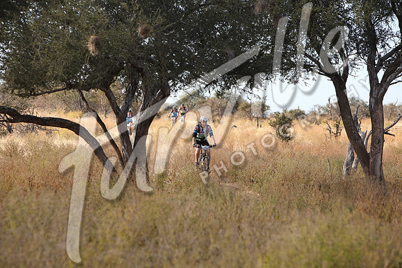 TdT2010-SL_0449