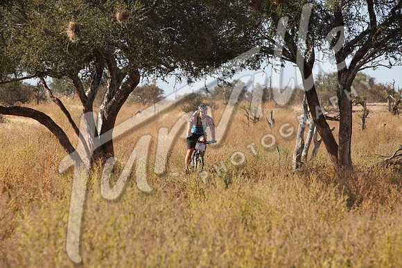 TdT2010-SL_0445
