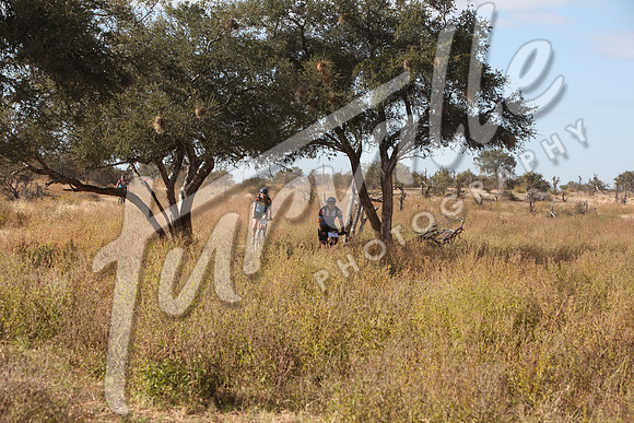 TdT2010-SL_0442