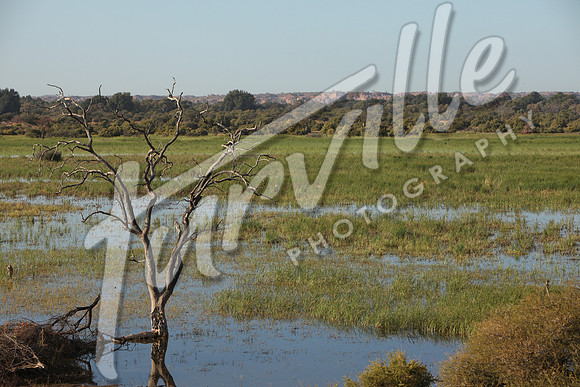 TdT2010-SL_0371