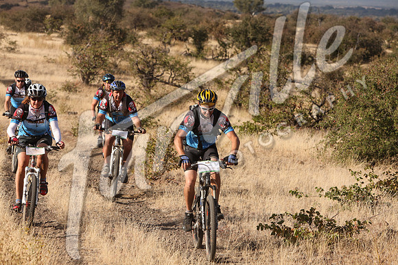 TdT2010-SL_0429
