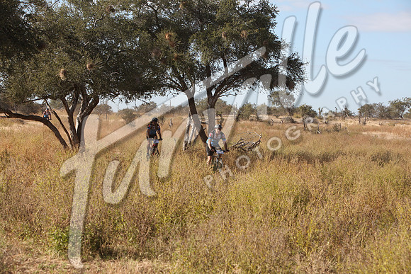 TdT2010-SL_0443
